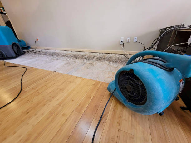 Professional Water Damage Repair technician working in Fort Lauderdale, FL